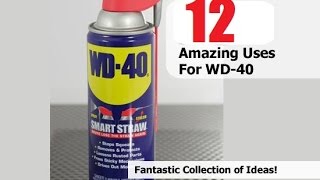 ★12 Amazing Uses for WD 40 [upl. by Eneleahcim90]