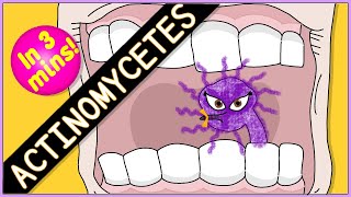 Actinomycetes Microbiology Morphology pathophysiology symptoms diagnosis treatment [upl. by Boggs]