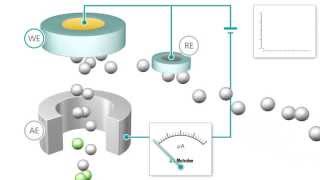 Amperometric Detection [upl. by Aileduab843]