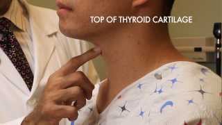 Hyperparathryoidism 1 How to Diagnose hyperparathyroidism [upl. by Sprague]