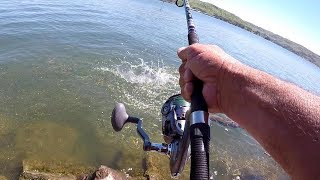 How To Catch HUGE Catfish From The Bank [upl. by Kaja]