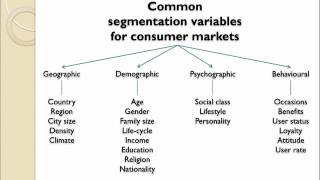 Market Segmentation Introduction [upl. by Drahsar352]