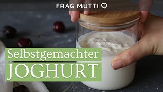 Joghurt selber machen ohne Maschine 🥄🥛 [upl. by Retsevel]