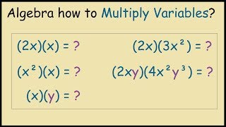 What is 2x times x in Algebra Multiplying Variables [upl. by Dirtsa]