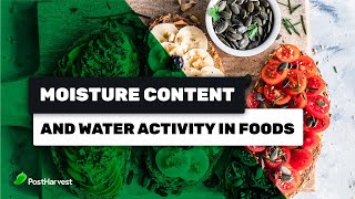 Moisture Content and Water Activity in Foods [upl. by Nnairek]