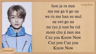 NCT U  Know Now Easy Lyrics [upl. by Nagrom]