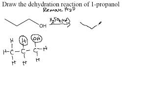 1 propanol dehydration [upl. by March]