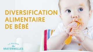 La diversification alimentaire de bébé [upl. by Nicram]