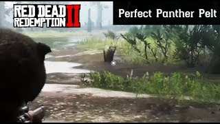 Where To Find A Panther  Red Dead Redemption 2 Perfect Pelt Location Guide RDR2 [upl. by Trebla834]