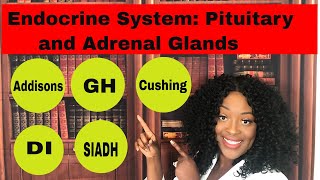 Endocrine System Adrenal and Pituitary Glands [upl. by Lenna]