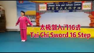 16 Step Tai Ji sword [upl. by Hartmunn]