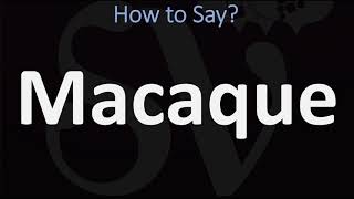 How to Pronounce Macaque CORRECTLY [upl. by Oijres845]