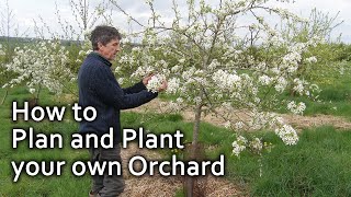 How to Plan and Plant your own Orchard [upl. by Gloriane]