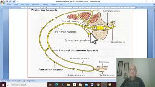 Respiratory module 22  Intercostal and subcostal nerves  by Dr Wahdan [upl. by Platto656]