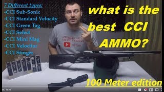 Best CCI Ammo 100 Meters accuracy test [upl. by Ednarb]