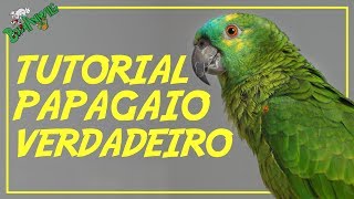 Tutorial Papagaio Verdadeiro [upl. by Viridissa]