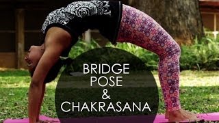 Backbend Yoga Poses Chakrasana The Wheel Pose I 2 [upl. by Ellenehc184]