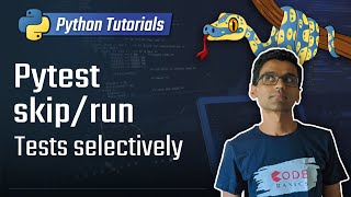 Python unit testing  skipselectively run tests in pytest [upl. by Travax753]