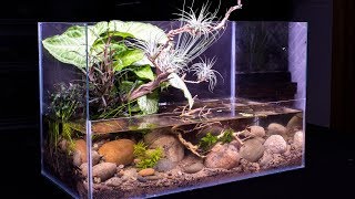 DIY Pond Themed Nano Riparium [upl. by Hulbig]