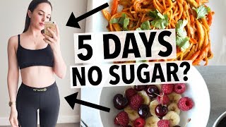 5 DAYS NO SUGAR CHALLENGE  HOW I QUIT SUGAR  HEALTHY RECIPE IDEAS [upl. by Rollie]