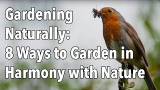 Gardening Naturally 8 Ways to Garden in Harmony with Nature [upl. by Netsirc905]