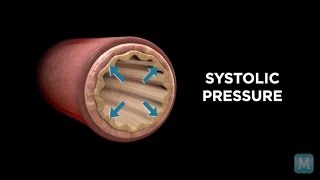 Systole vs Diastole  Match Health [upl. by Solnit]