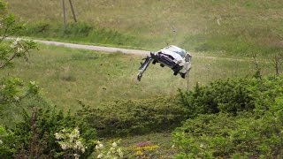 Rallye Best of Crash 2016 Highlights Mistakes compilation sortie [upl. by Nolitta]