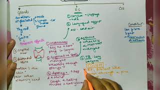 Spongia Tosta Homoepathy medicine  easy explanation Materia Medica [upl. by Sabian781]