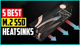 The 5 Best M 2 SSD Heatsinks In 2021 [upl. by Vani]