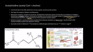 Neurotransmitters Acetylcholine  Receptors [upl. by Kerge]