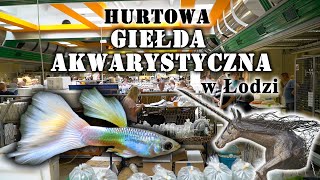 HURTOWA Giełda Akwarystyczna w Łodzi [upl. by Edwards135]