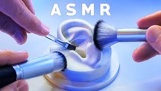 ASMR XXL Brushing amp Brushes ONLY Compilation NO TALKING Tingle Study Sleep Relax [upl. by Yennor]