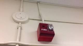 Fire alarm system goes off at school [upl. by Sldney]