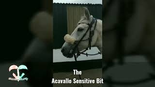 Acavallo Sensitive Bit Review [upl. by Ettenay]