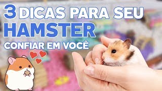 3 DICAS PARA FAZER SEU HAMSTER CONFIAR EM VOCÊ 🐹🥰 [upl. by Annelak182]