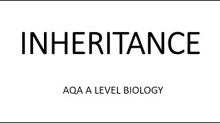 INHERITANCE  AQA A LEVEL BIOLOGY  EXAM QUESTIONS RUN THROUGH [upl. by Netsrik]