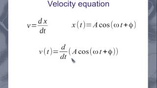 SHM Velocity and Acceleration Equations [upl. by Arob]