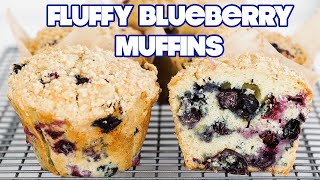 THE BEST Homemade Fresh Blueberry Muffins Recipe [upl. by Kiersten]