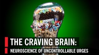 The Craving Brain Neuroscience of Uncontrollable Urges [upl. by Zins]