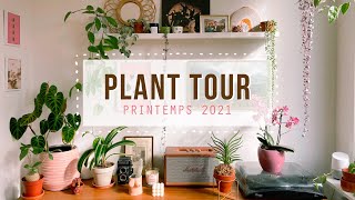 PLANT TOUR 2021 – Ma collection de 80 plantes dintérieur 🌿 [upl. by Eninnaj]