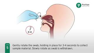 Pharynx Anatomy 14  Head amp Neck  Anatomy [upl. by Hola]