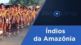 Panorama  Índios da Amazônia  24102017 [upl. by Winthorpe488]