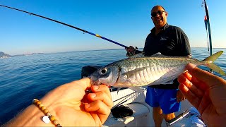 La Tecnica di Pesca più TRADIZIONALE Pesca dalla Barca con la Pastura  Light Drifting con la Sarda [upl. by Loring]