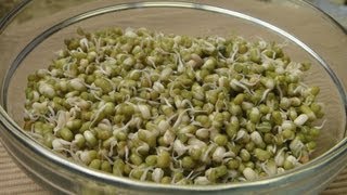 How to make Sprouts [upl. by Klehm405]