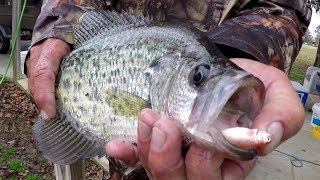 Crappie Fishing With A Bobber and Live Minnows [upl. by Elocn230]