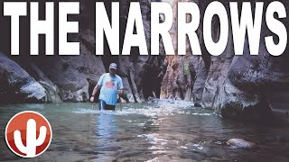 A Completionists Guide to Hiking THE NARROWS Bottom Up  Zion National Park [upl. by Omarr684]