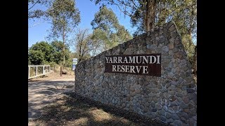 Yarramundi Bass Fishing  Nepean River NSW  top spots [upl. by Gonroff468]