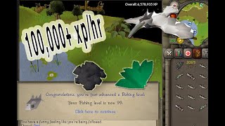 OSRS How to 3 Tick Barbarian Fish  THE EASIEST WAY [upl. by Neurath]