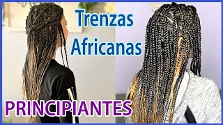 TRENZAS AFRICANAS CON EXTENSIONES  Principiantes [upl. by Range]