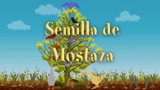 Parábola de La Semilla de Mostaza  Valivan [upl. by Esital]